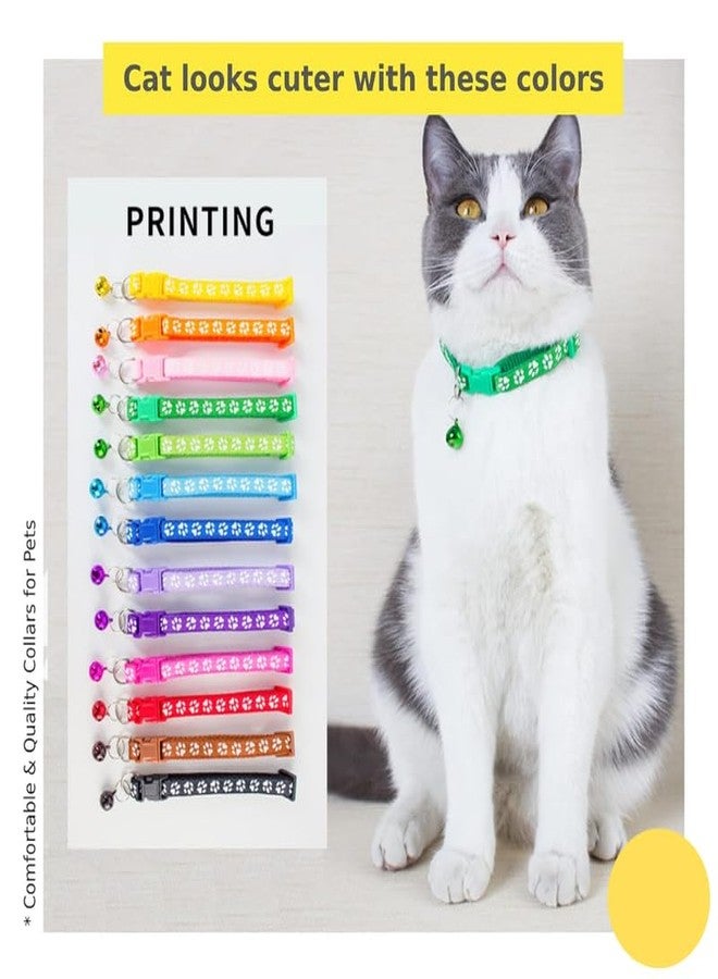 KittuPet مجموعة كيتو بيت من 4 قطع من أطواق حماية مخالب القطط والجراء والكلاب، مقاس 10 مم، لون عشوائي قد يختلف - Image 4